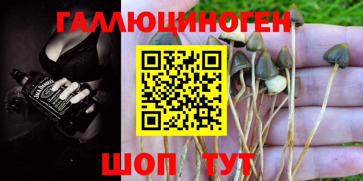 Псилоцибиновые грибы мицелий  Вход с VPN  где купить наркоту  Юрга 